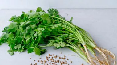 garnishing-instructions-image